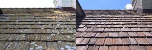 Cedar Roof Cleaning Wake Forest North Carolina-219585029