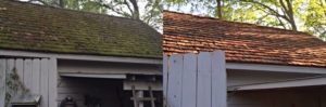 Rocky Mount Cedar Roof Cleaning-219585041